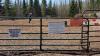 A dog owner enjoys an afternoon romp at the Sawtooth Saddle Club horse arena on May 6. Photo by Rhonda Silence